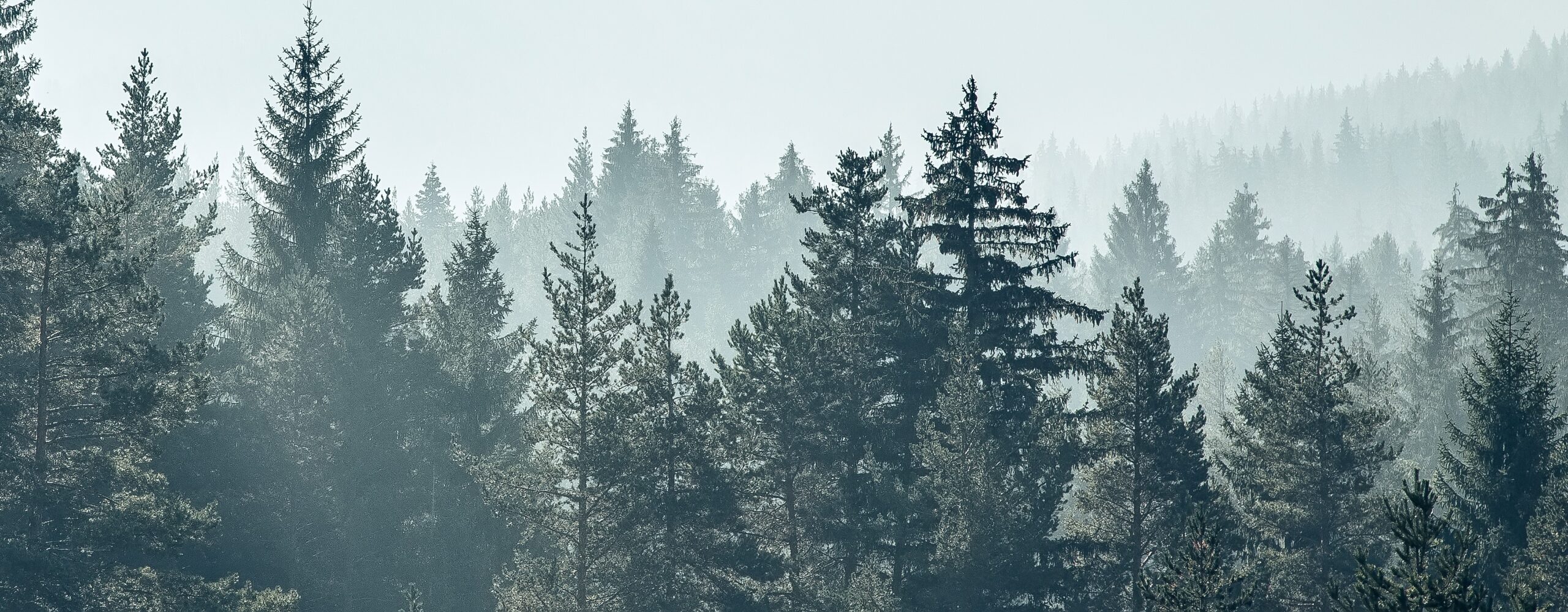 Budget 20212022 Lakeview, Oregon